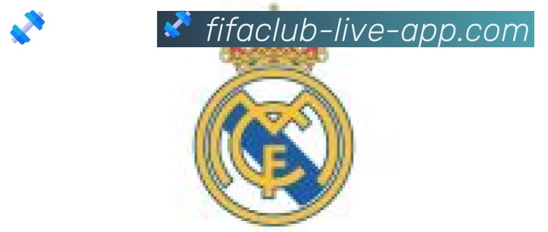 FIFA世界杯买球入口合作伙伴