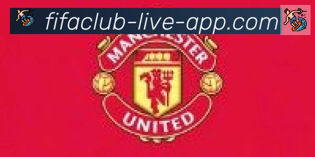FIFA世界杯买球入口合作伙伴